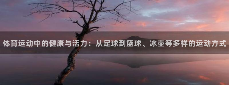 米兰体育：体育运动中的健康与活力：从足球到篮球、冰壶等多样的运动方式