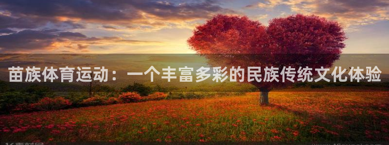 米兰体育在线：苗族体育运动：一个丰富多彩的民族传统文化体验
