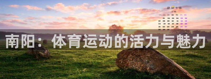 米兰体育网页版：南阳：体育运动的活力与魅力