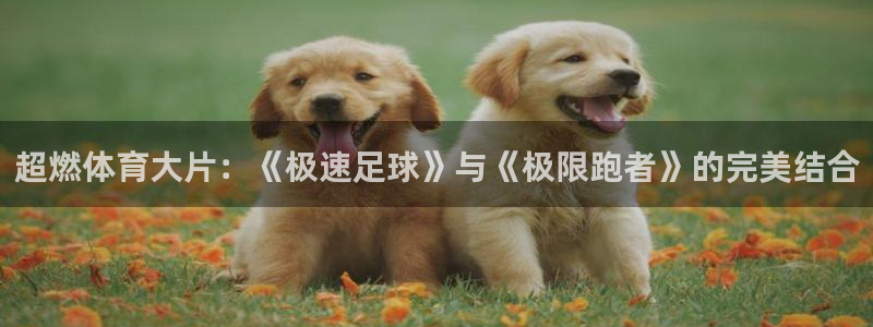 米兰体育网页版登录：超燃体育大片：《极速足球》与《极限跑者》的完美结合