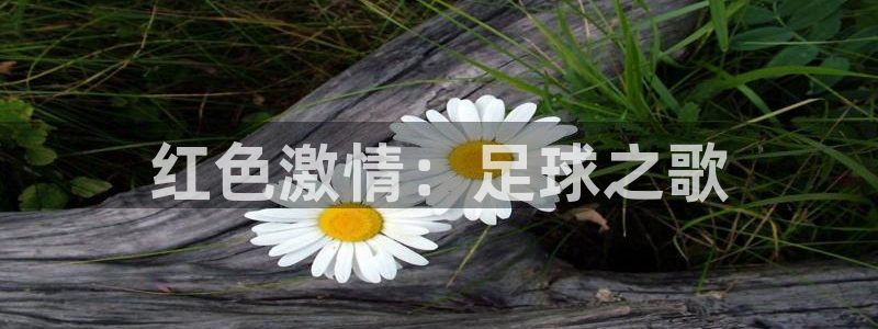 米兰体育报：红色激情：足球之歌