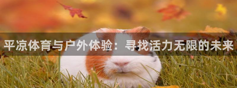 米兰体育最新版下载：平凉体育与户外体验：寻找活力无限的未来