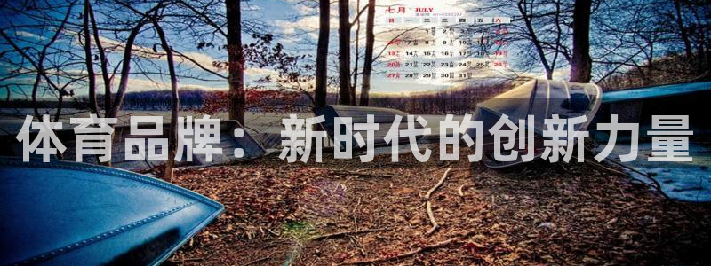 米兰体育在线：体育品牌：新时代的创新力量
