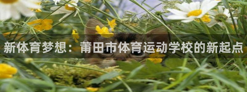 米兰体育最新版下载：新体育梦想：莆田市体育运动学校的新起点