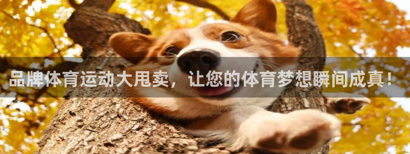 米兰体育网址：品牌体育运动大甩卖，让您的体育梦想瞬间成真！