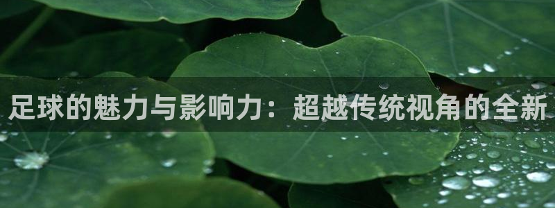 米兰体育怎么样：足球的魅力与影响力：超越传统视角的全新