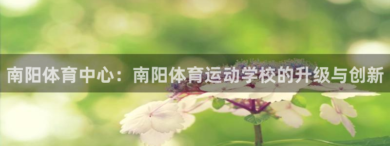 米兰体育官方下载入口：南阳体育中心：南阳体育运动学校的升级与创新