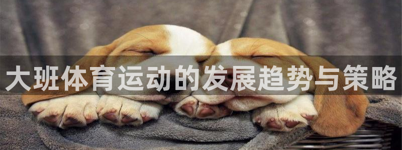 米兰体育靠谱吗：大班体育运动的发展趋势与策略